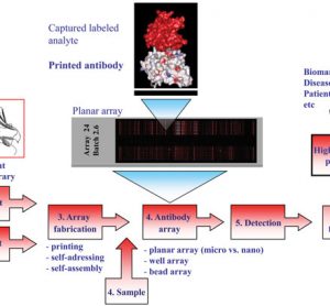 Figure 1 Schematic illustration of the recombinant antibody microarray set-up