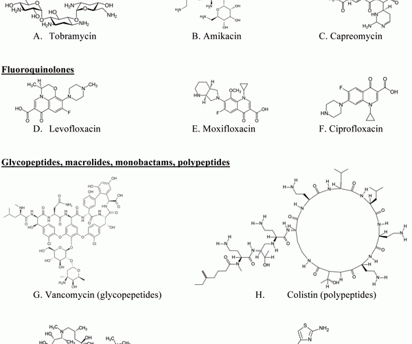 Figure 1 Examples of chemical structures of antibodies for targeted pulmonary inhalation aerosol