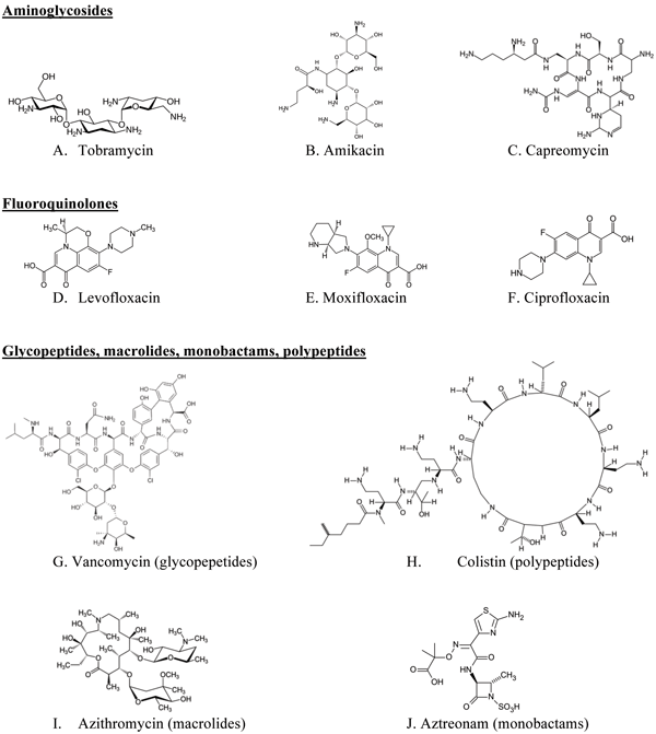 Figure 1 Examples of chemical structures of antibodies for targeted pulmonary inhalation aerosol