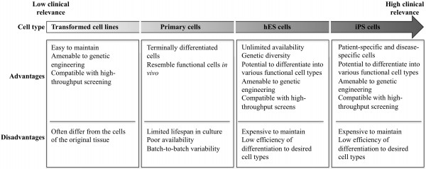 FIGURE 1 Comparison of in vitro models for drug discovery