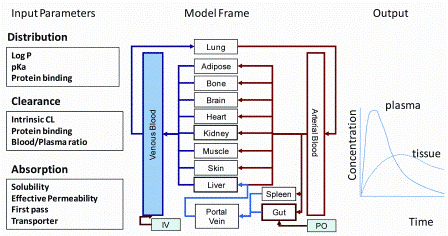 Figure 1: Components of PBPK modelling approach