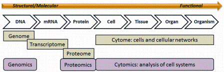 Figure 1: Cytomics - the study of molecular single cell phenotypes resulting from genotype and exposure