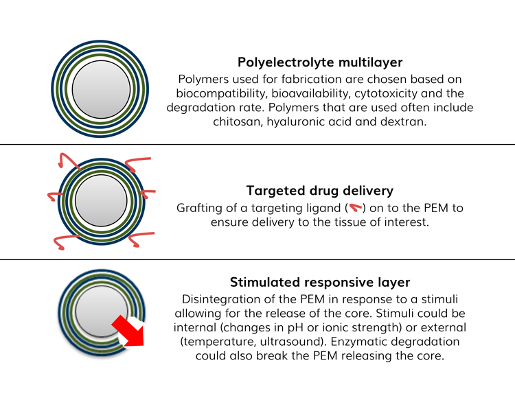 Approaches for drug release from PEMs