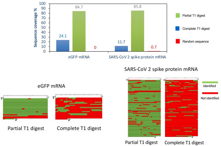 Figure 2: Sequence mapping of mRNA therapeutics.