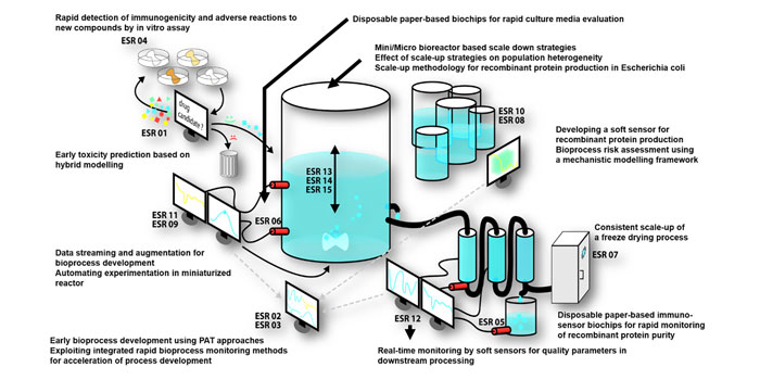 The importance of critical quality attributes in Quality by Design for rapid bioprocess development strategies