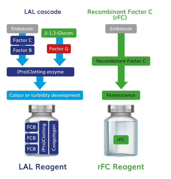 Specificity in the recombinant factor C test for endotoxin