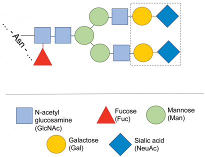 Figure-3