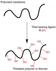 mucosal delivery