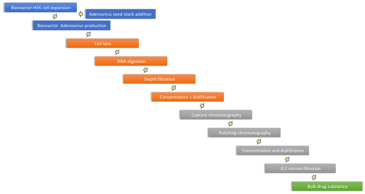 Adenovirus manufacturing process