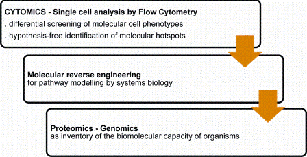 Figure 4: Flow cytometry and discovery