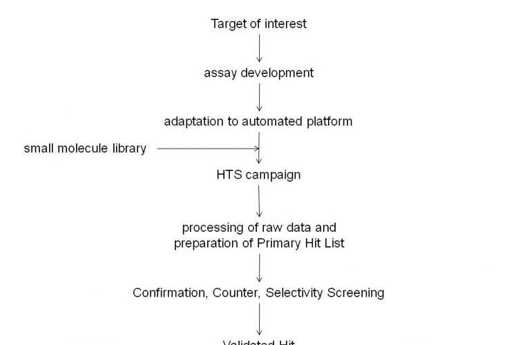Figure 1 Typical critical path for small molecule Drug Discovery programs. Drug Discovery involves identification of a Target of interest for which an assay is developed. This assay is then adapted for screening purposes and utilised in a High Throughput Screening campaign against small molecule libraries. The High Throughput Screening campaign will usually yield many Hit molecules. Confirmation, Counter and Selectivity Screening will provide a final list of Validated Hits.