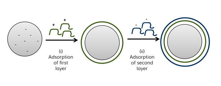 Absorption of layers