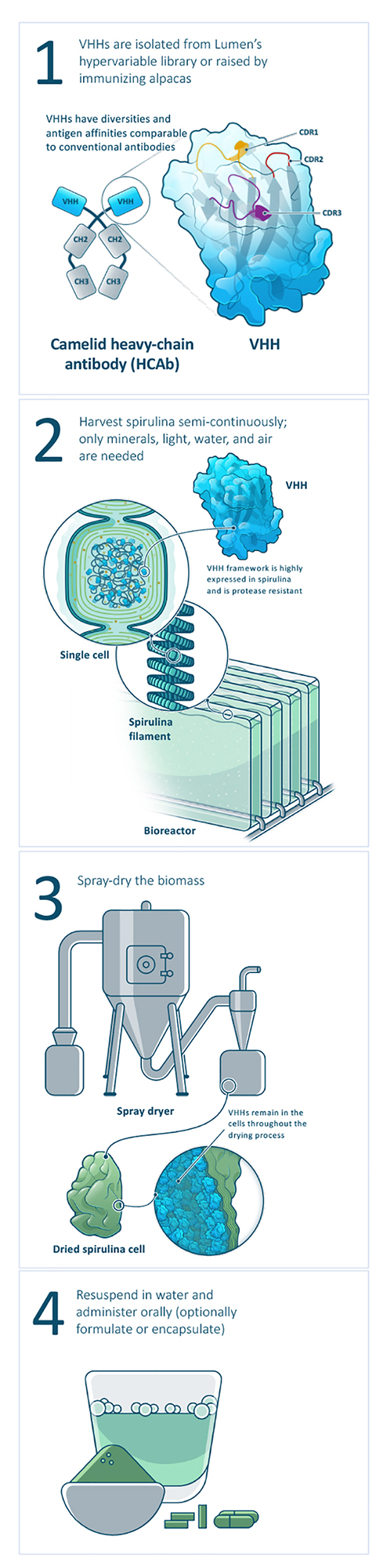 Lumen Bioscience’s fully integrated drug development and GMP biomanufacturing pipeline. (Image credit: Lumen Bioscience and Cognition Studio).