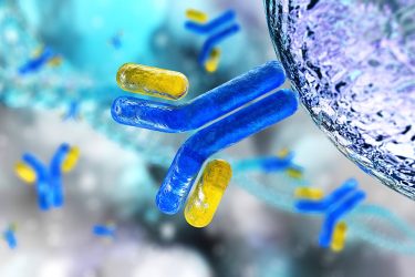 blue and yellow antibodies