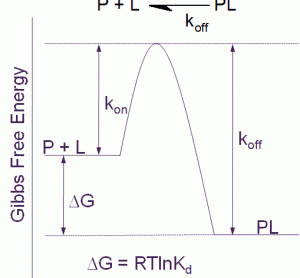 Figure 1 Free energy diagram for a single step binding interaction between protein (P) and ligand (L). For a binding reaction of this type increasing affinity is achieved by lowering the free energy of the PL complex. Increasing residence (decreasing koff) time is achieved by lowering the free energy of the PL complex and/or destabilizing the transition state