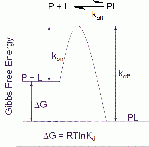 Figure 1 Free energy diagram for a single step binding interaction between protein (P) and ligand (L). For a binding reaction of this type increasing affinity is achieved by lowering the free energy of the PL complex. Increasing residence (decreasing koff) time is achieved by lowering the free energy of the PL complex and/or destabilizing the transition state