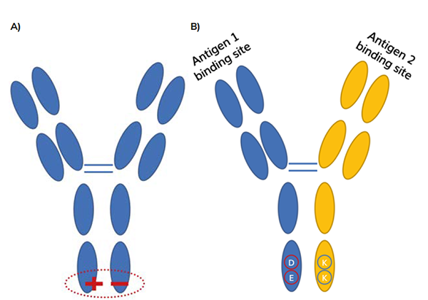 Frost Separation Figure 2