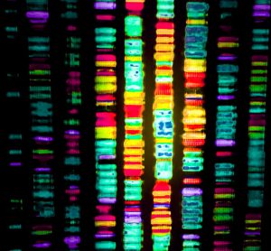 Genome sequencing