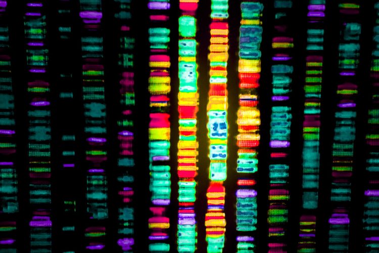 Genome sequencing