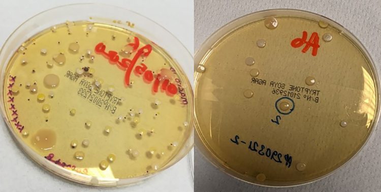 Figure 7: Example of Change 1 passive plates before (left) and after (right) the introduction of cleanroom scrubs.