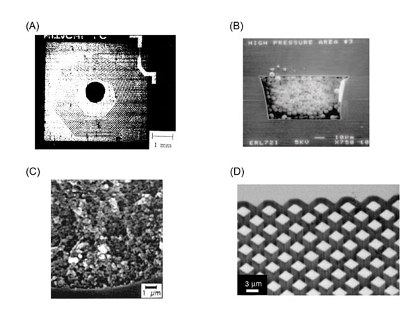 HPLC: On-chip liquid chromatographic separation Figure 1