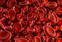 red blood cells on a white background - idea of blood disorder such as haemophilia