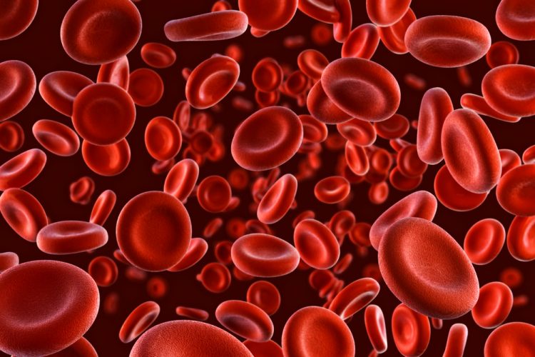 glóbulos rojos en un fondo blanco - idea de un trastorno sanguíneo como la hemofilia