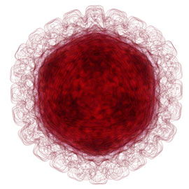 Herpes Simplex Virus 1 (HSV-1) capsid