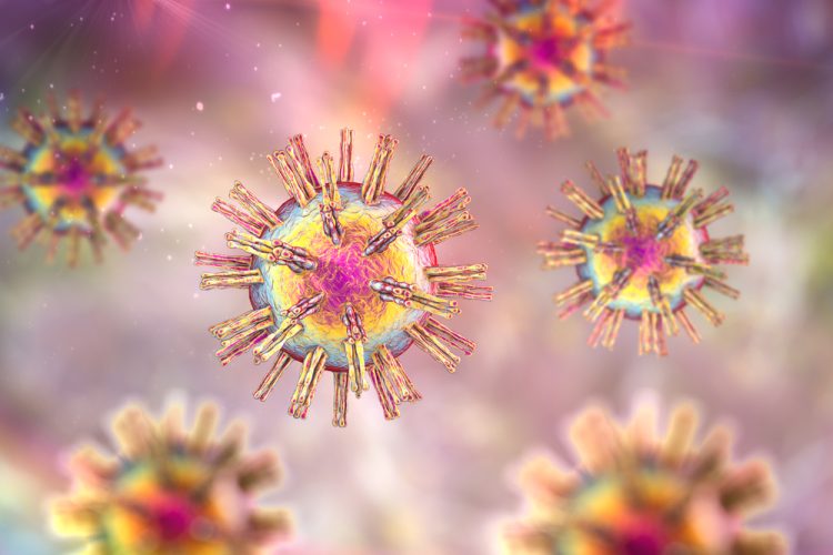 3D concept of herpes virus