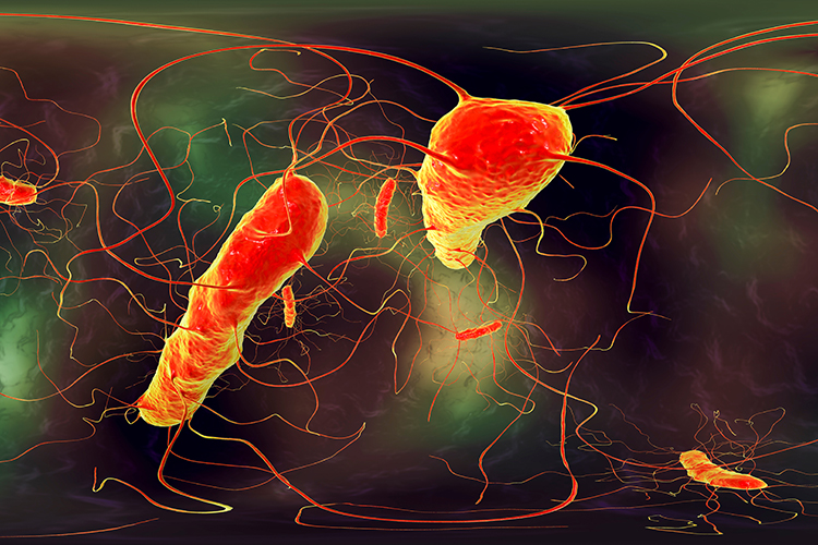 red microorganisms on a green and purple swirling background