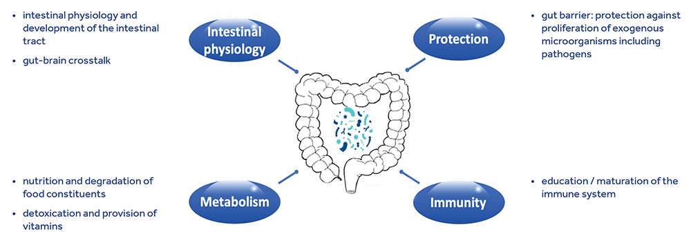 Figure 1: Impact of the gut microbiome on the host. ©Joel Doré