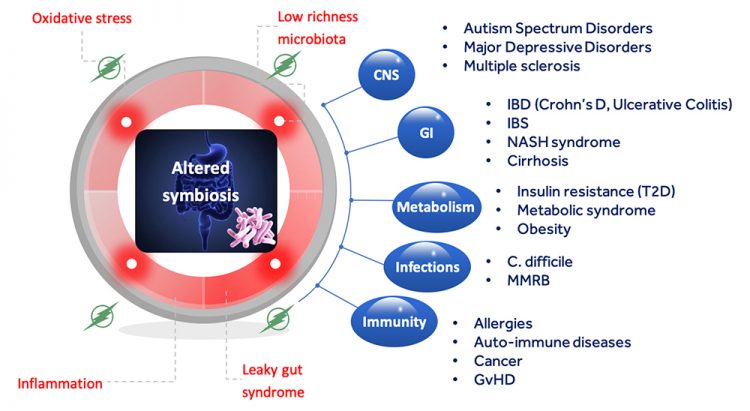 Figure 2: Diseases correlated with an imbalance in the host-microbiota symbiotic relationship. © Joël Doré