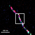 New analytical solution brings nanoscale chemical imaging to new levels of ease and automation.