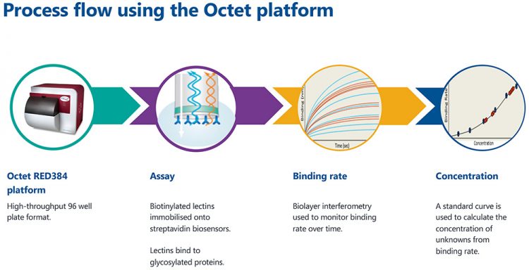 Figure 1: The process flow for high-throughput glycoanalytics on the Octet platform.