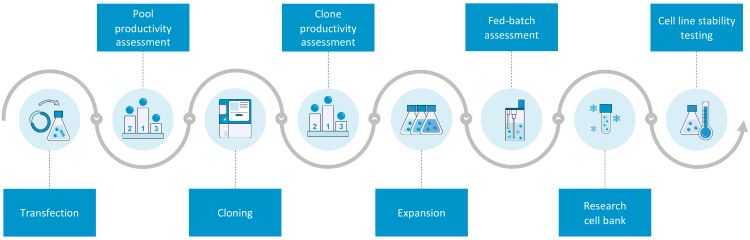 Figure 1 - Overview of the cell line development process at Lonza.