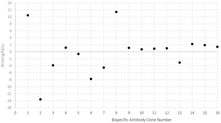 Figure 3 - Assessment of bsAb chain assembly using surface plasmon resonance. An assay was developed to establish assembly of Fc containing bispecific molecules. Binding levels are monitored and the ratio between the binding of antigen 1 and antigen 2 indicates incorrectly assembled molecules, where a ratio of 1 indicates a correctly assembled heterodimer.