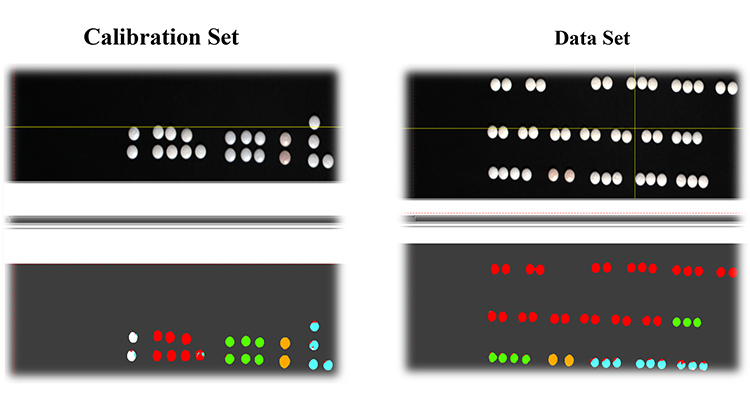 Figure 3: VNIR HSI images for authentic (white) and four different types of counterfeit tablets (Type 1 – red, Type 2 – green, Type 3 – yellow, and Type 4 – blue).