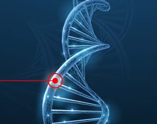 Optimising the resolution and selectivity of oligonucleotide analysis can be achieved using specifically designed columns for anion exchange (AEX) and ion-pair reversed phase (IP-RP) chromatography