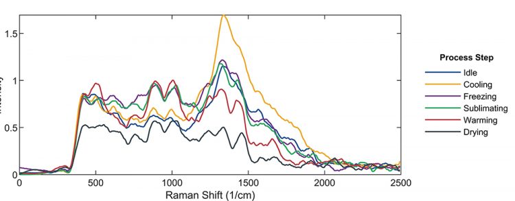 Figure 1: Smoothed Raman spectra of the substance at different stages of the freeze-drying process.
