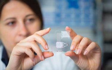 Lab-on-a-chip cell culture for metabolomics