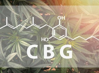 Chemical formula of CBG overlaid on cannabis plant leaves