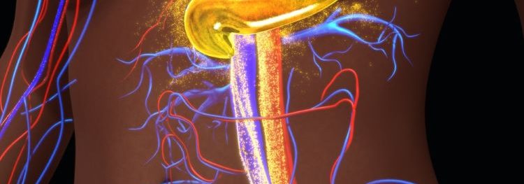 First cell therapy approved for Type 1 diabetes