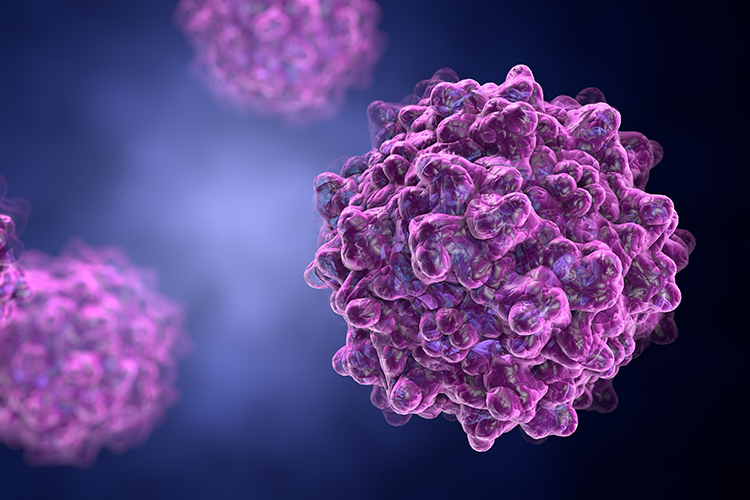 Adeno-associated virus serotype 1. Virus is used as a vector for gene therapy