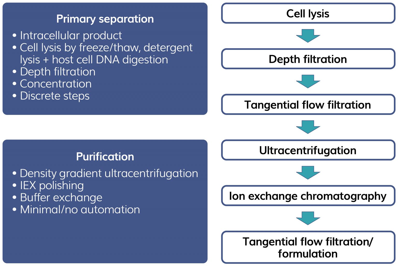 Challenges in downstream purification of advanced therapies