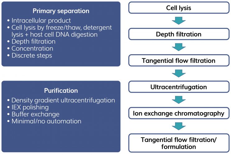 Figure 2: Example of current AAV purification processes.