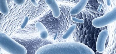 Live Biotherapeutic Product