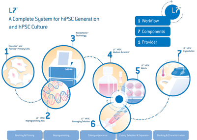 Lonza L7: Stem cells: from bench to drug development