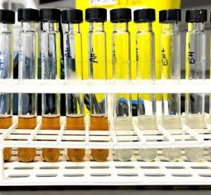 Hydrogenation bread pharmaceutical