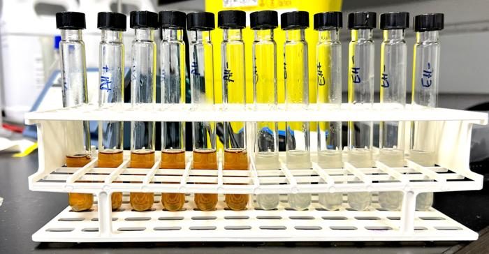 Hydrogenation bread pharmaceutical