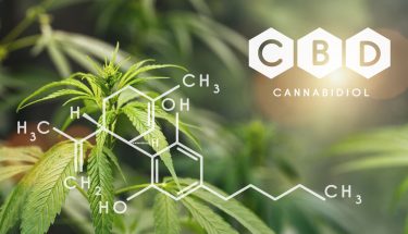 Chemical structure of cannabidiol (CBD) overlaid on a photo of a cannabis plant